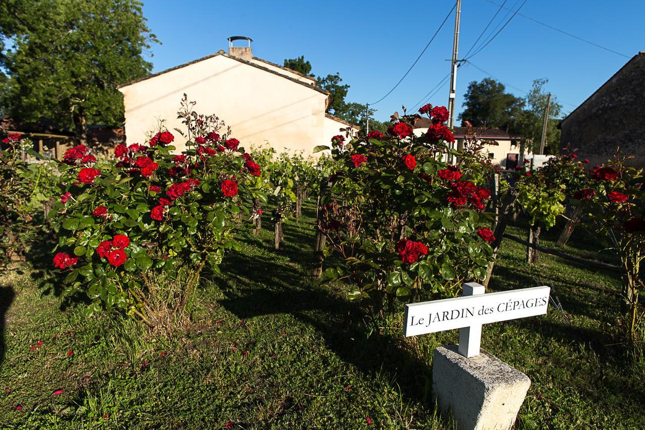 Les Cinq Sens Du Chateau Mayne Lalande Hotel Castelnau-de-Medoc Luaran gambar