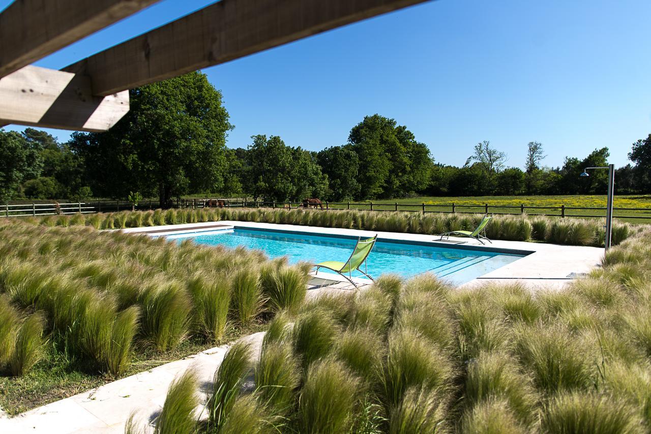 Les Cinq Sens Du Chateau Mayne Lalande Hotel Castelnau-de-Medoc Luaran gambar